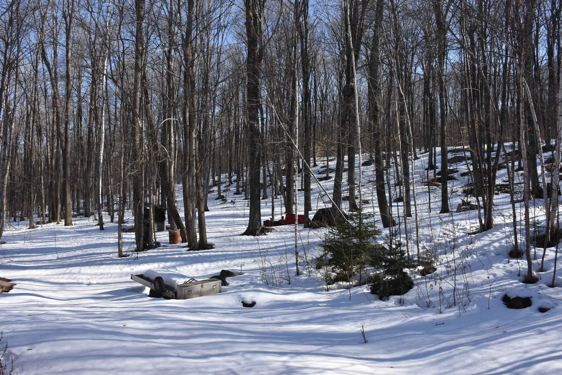 397 Winch Hill Extension Roxbury VT 05663