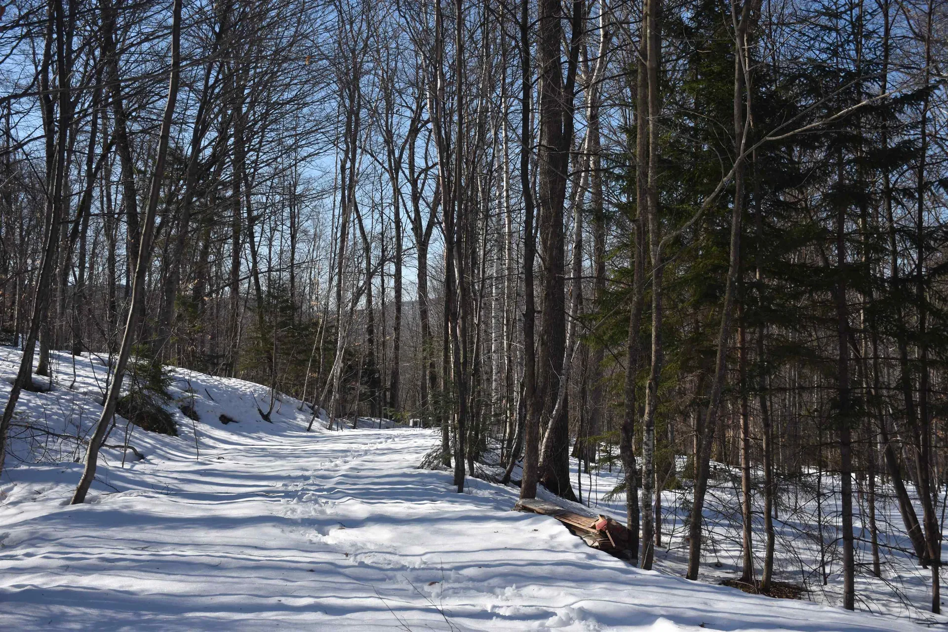 397 Winch Hill Extension Roxbury VT 05663