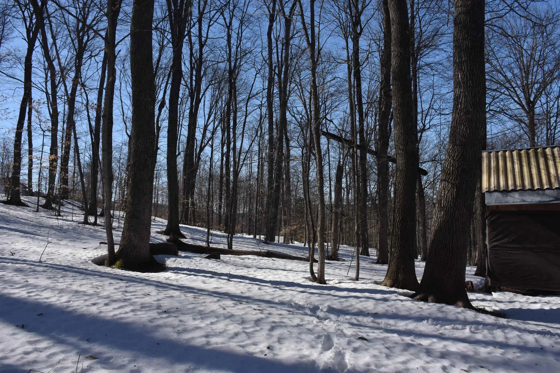 397 Winch Hill Extension Roxbury VT 05663