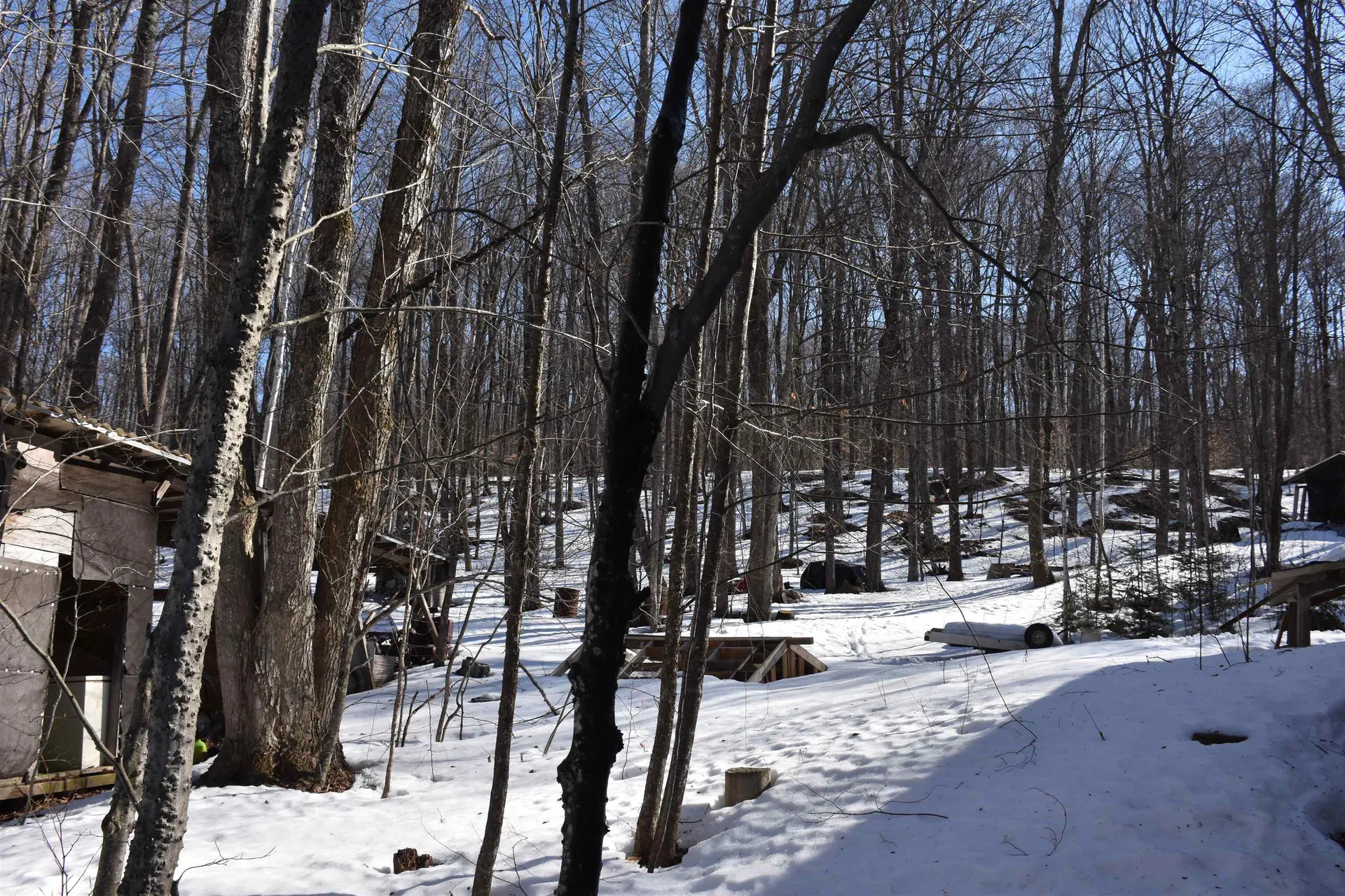 397 Winch Hill Extension Roxbury VT 05663