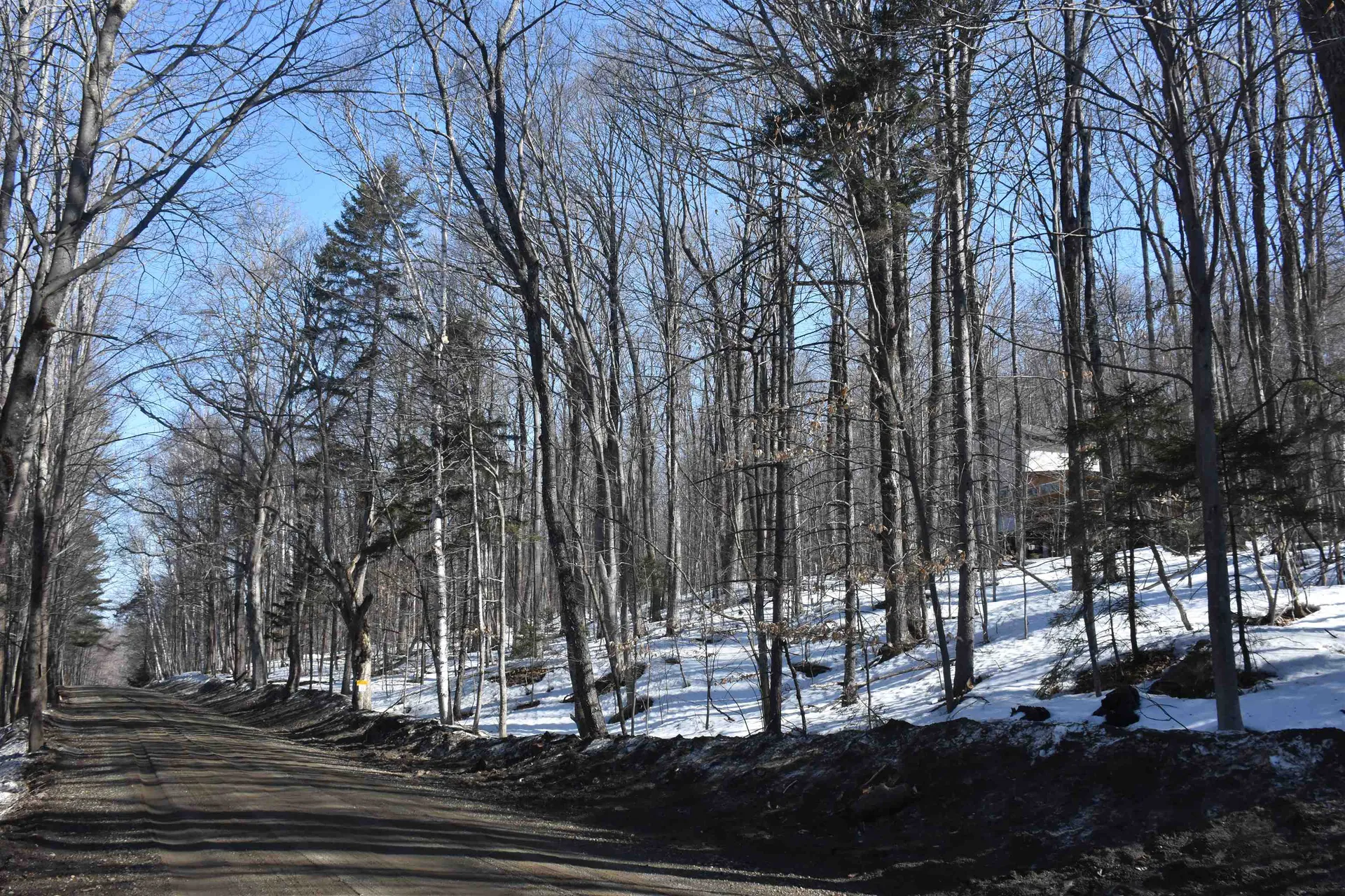 397 Winch Hill Extension Roxbury VT 05663