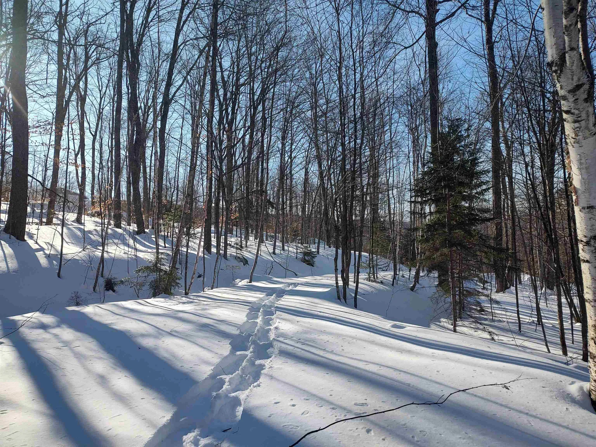397 Winch Hill Extension Roxbury VT 05663