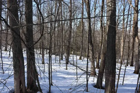 397 Winch Hill Extension Roxbury VT 05663