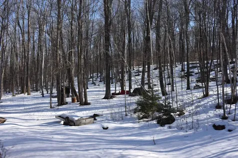 397 Winch Hill Extension Roxbury VT 05663