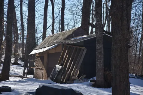 397 Winch Hill Extension Roxbury VT 05663