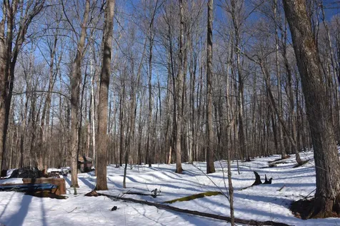 397 Winch Hill Extension Roxbury VT 05663