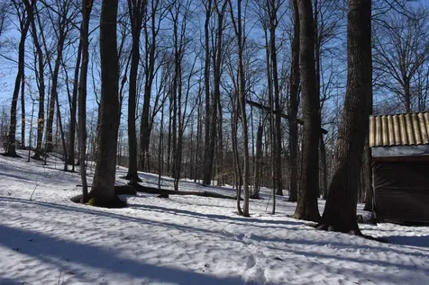 397 Winch Hill Extension Roxbury VT 05663