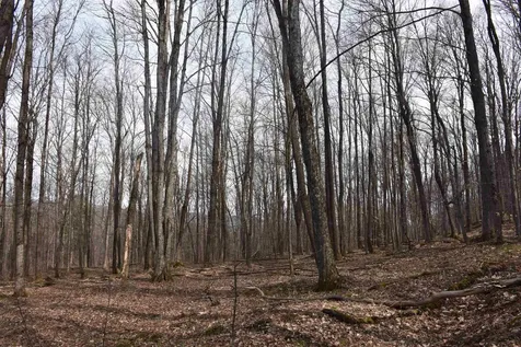 397 Winch Hill Extension Roxbury VT 05663