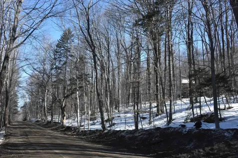 397 Winch Hill Extension Roxbury VT 05663