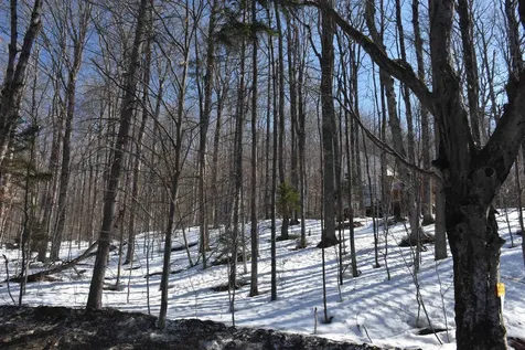 397 Winch Hill Extension Roxbury VT 05663