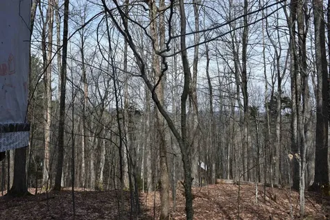 397 Winch Hill Extension Roxbury VT 05663