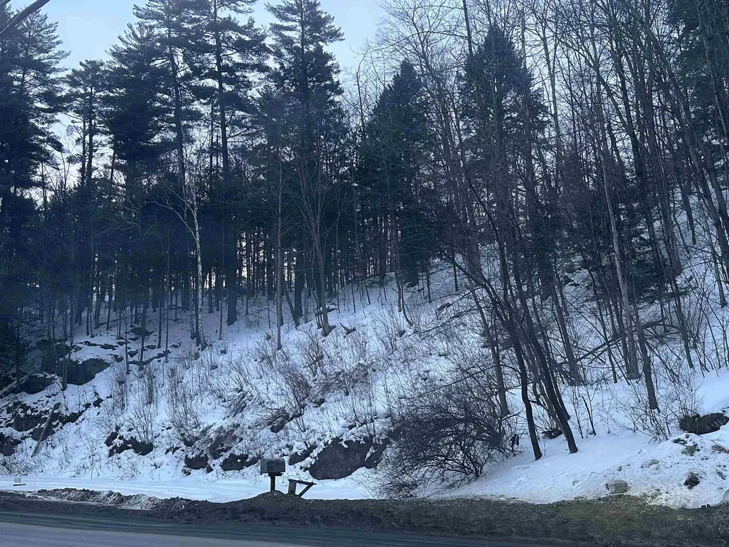 277 South Main Street Stowe VT 05672