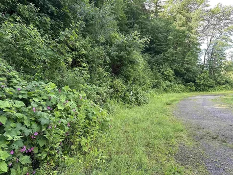 277 South Main Street Stowe VT 05672
