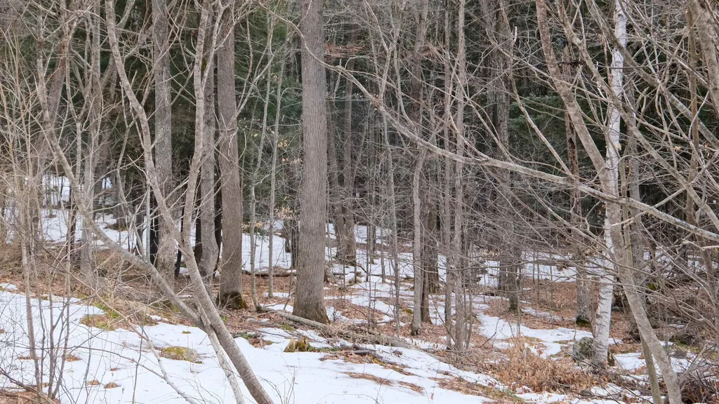 0 Kestrell Drive Plymouth VT 05056