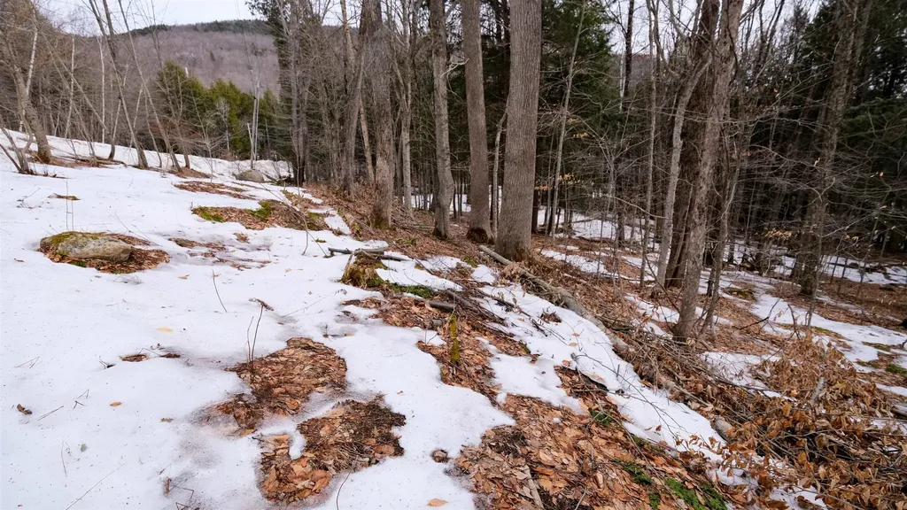 0 Kestrell Drive Plymouth VT 05056