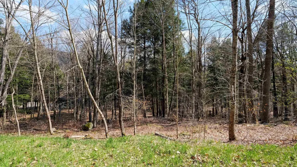 0 Kestrell Drive Plymouth VT 05056