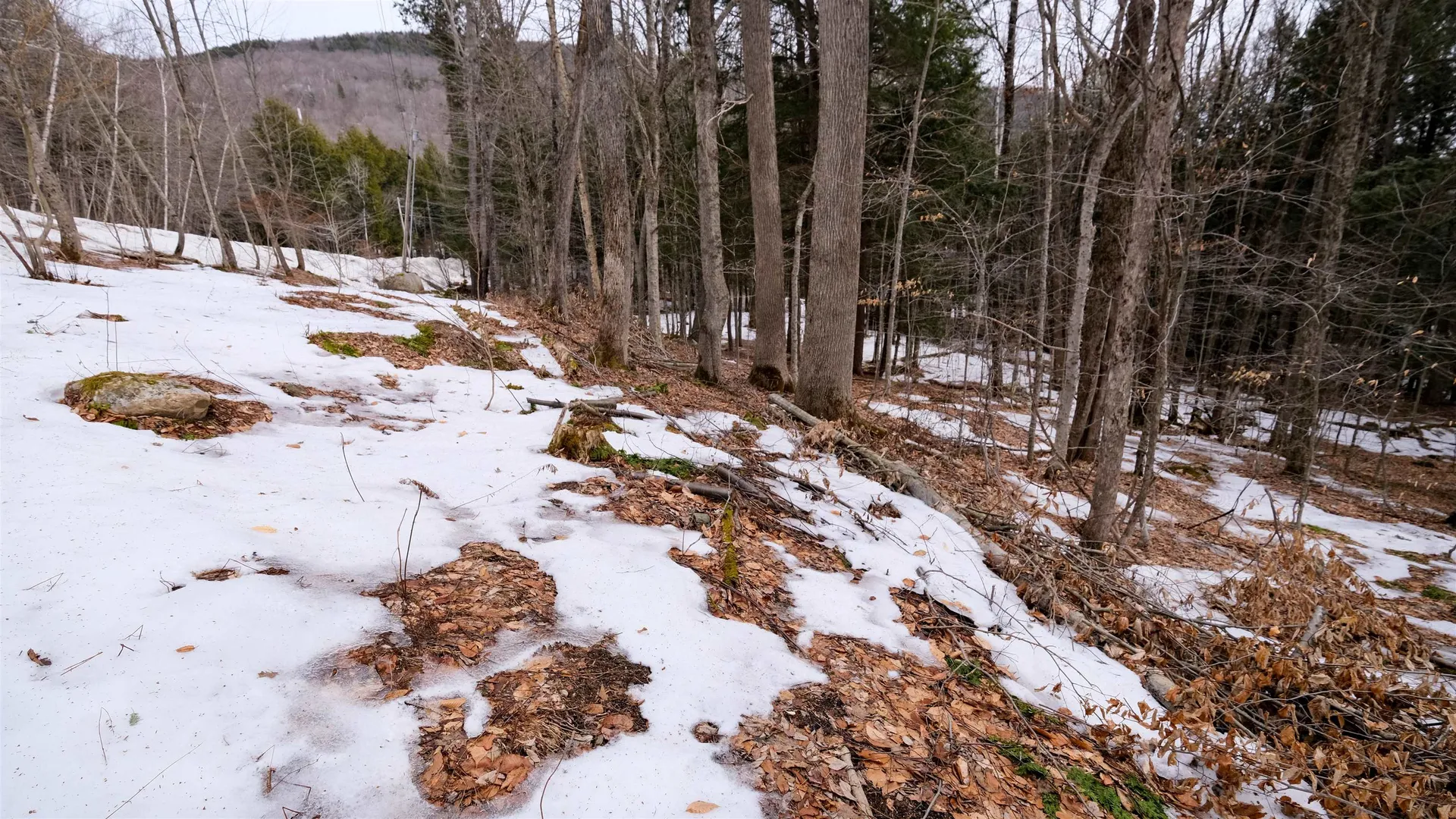 0 Kestrell Drive Plymouth VT 05056