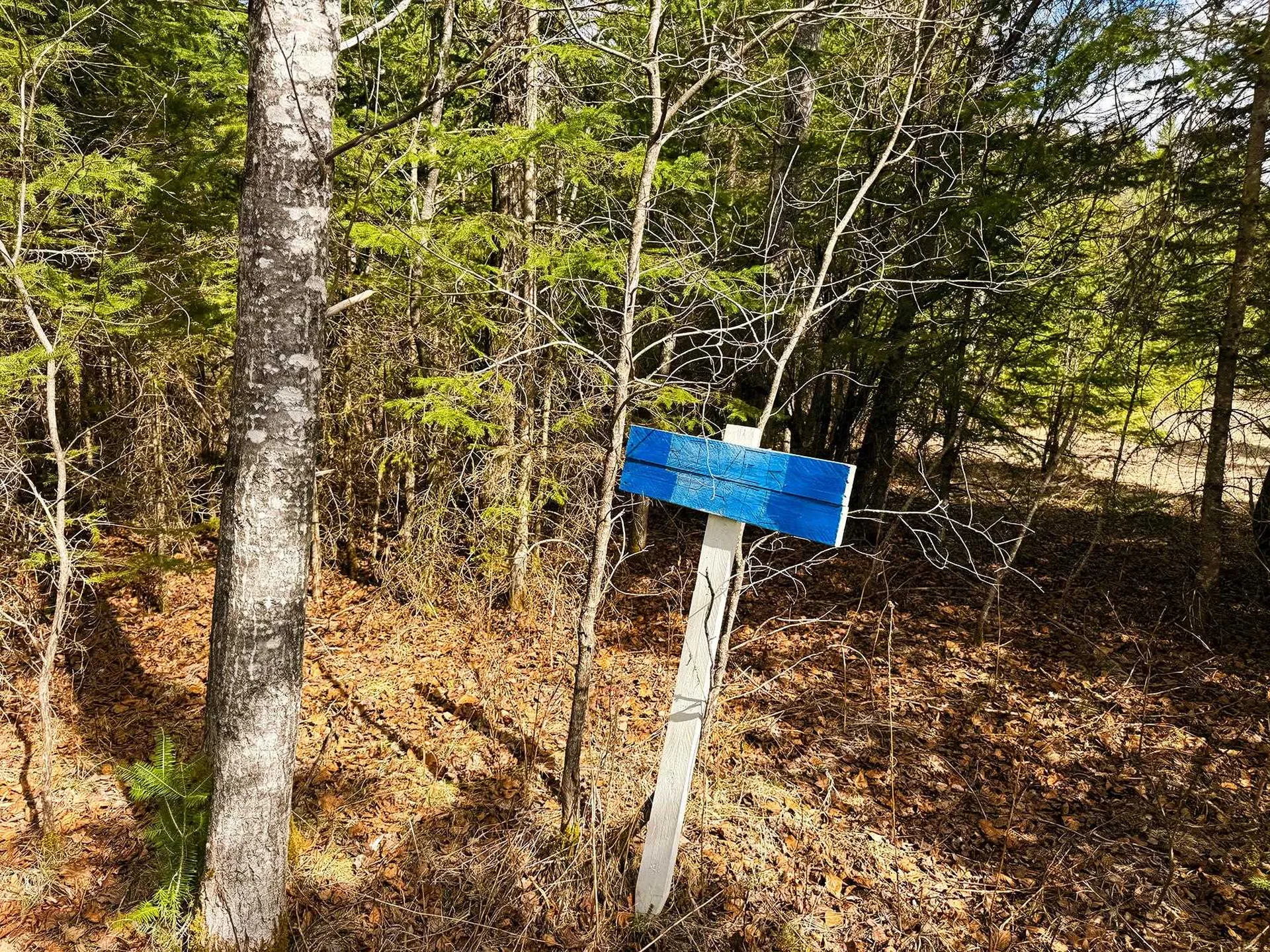 Tm 253 L 30 Hazen Drive Colebrook NH 03576