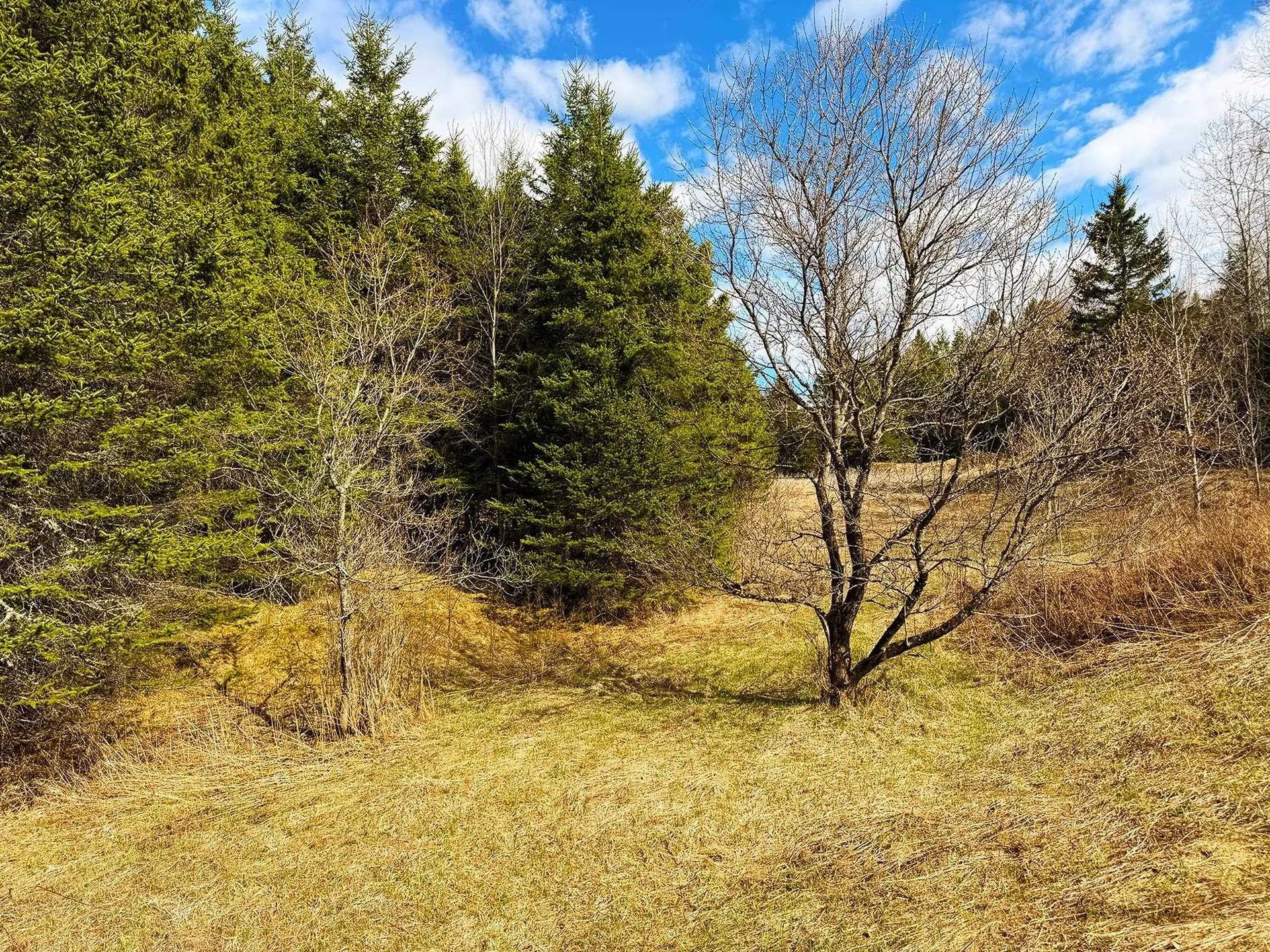 Tm 253 L 30 Hazen Drive Colebrook NH 03576