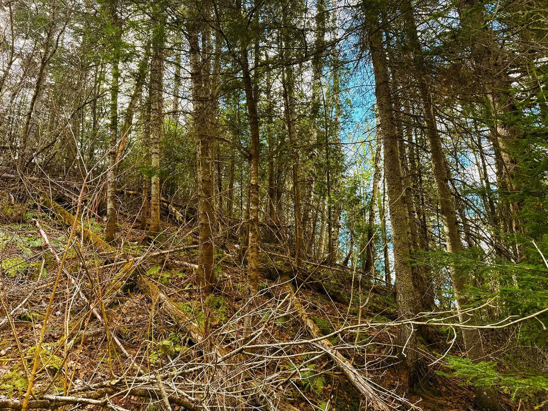 Tm 253 L 30 Hazen Drive Colebrook NH 03576