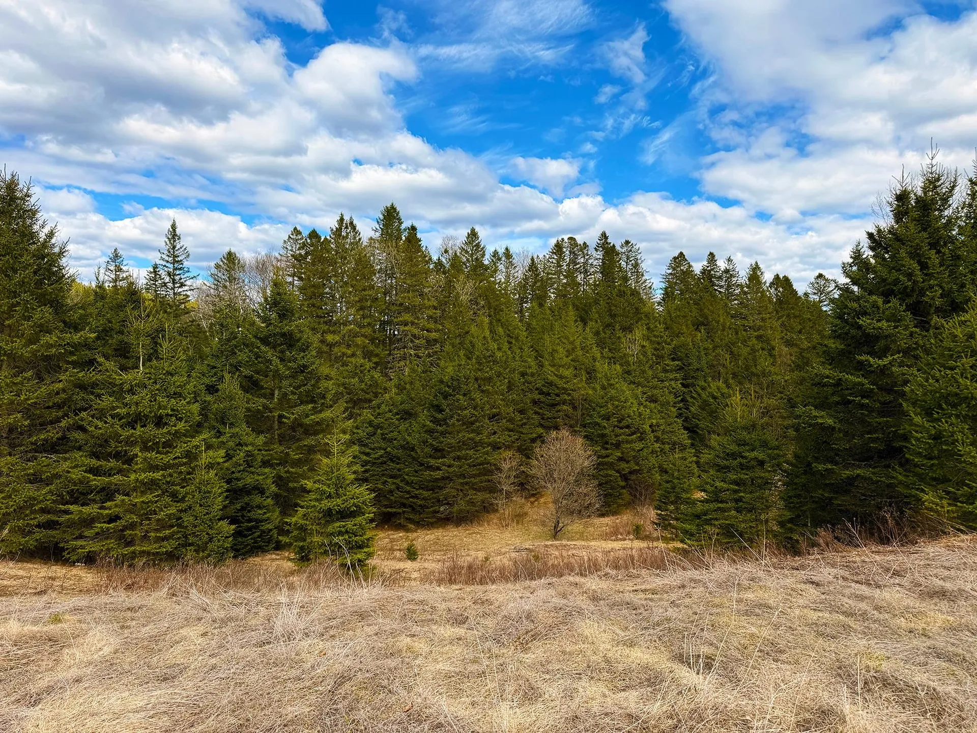 Tm 253 L 30 Hazen Drive Colebrook NH 03576