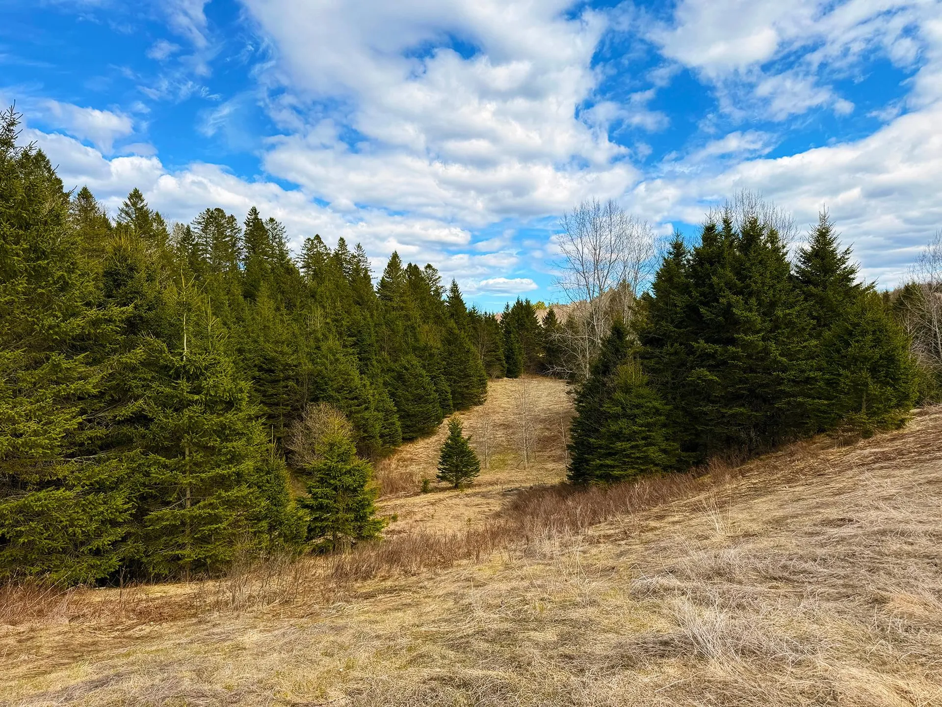 Tm 253 L 30 Hazen Drive Colebrook NH 03576