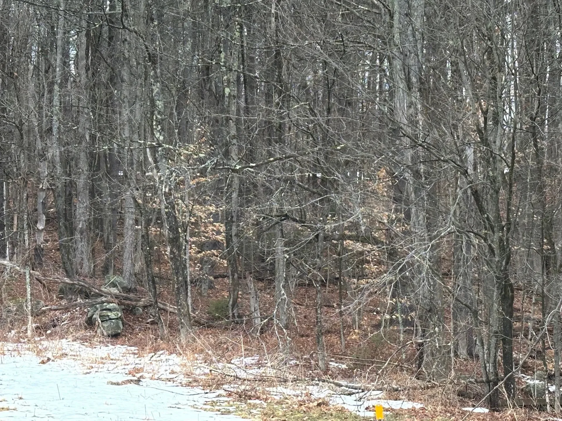 New Hampshire Route 119 Rindge NH 03461