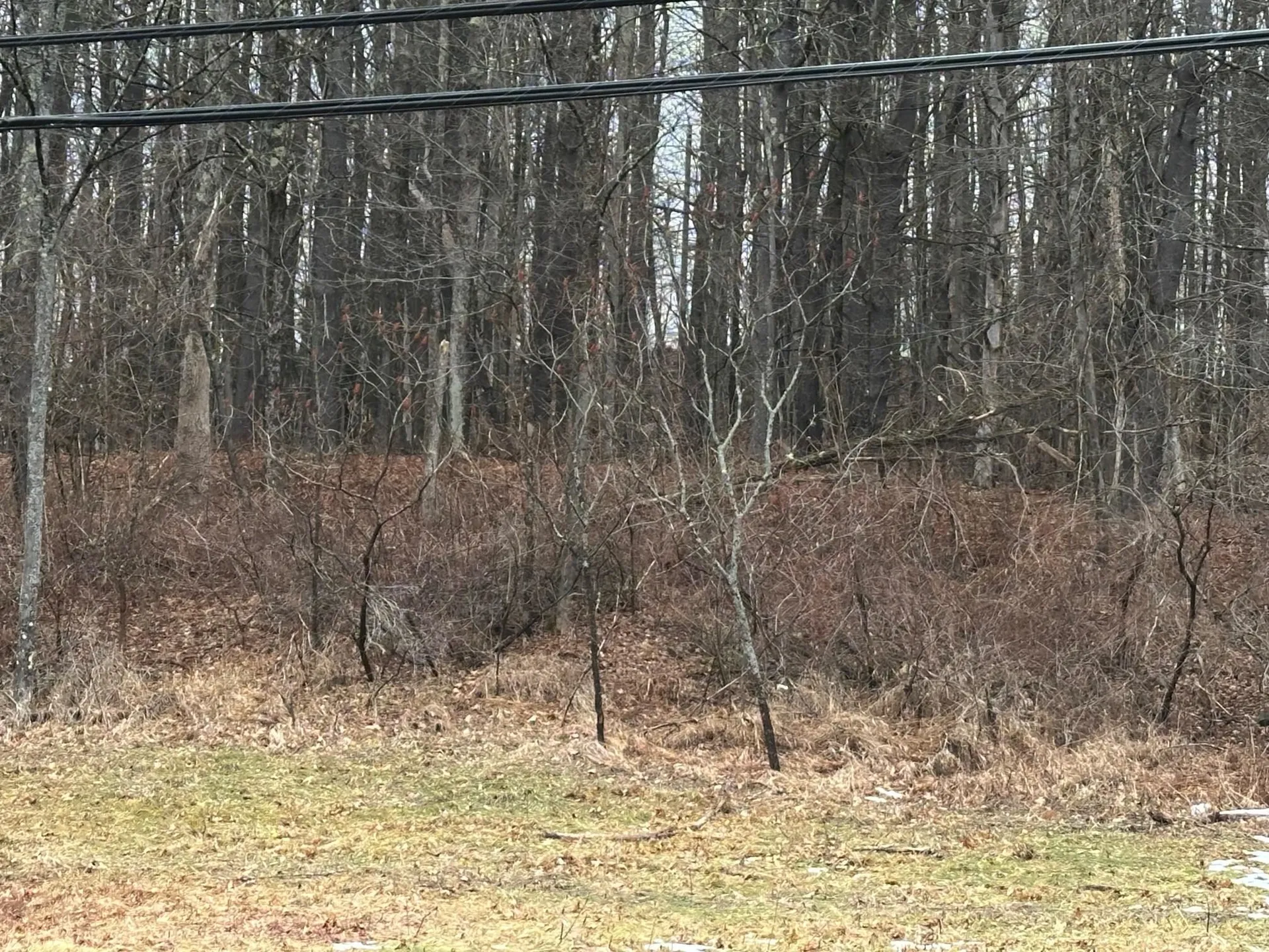 New Hampshire Route 119 Rindge NH 03461