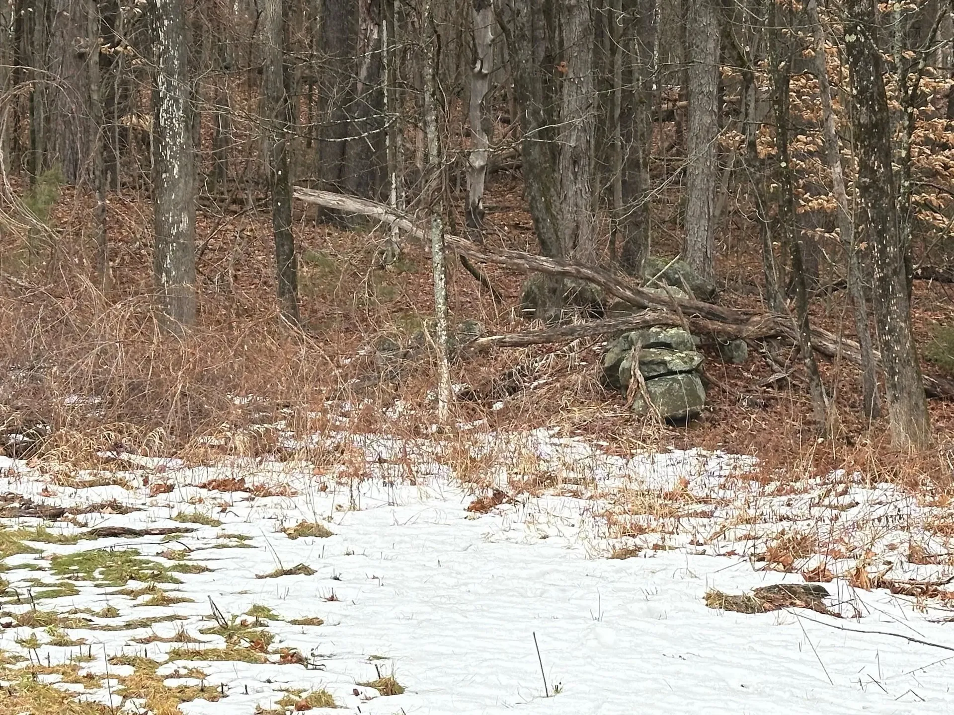 New Hampshire Route 119 Rindge NH 03461