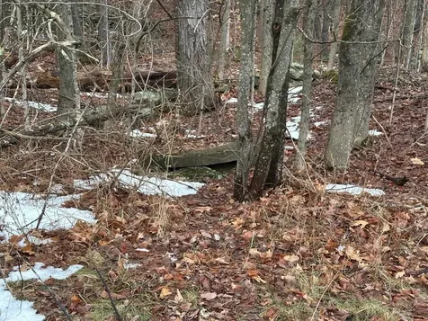 New Hampshire Route 119 Rindge NH 03461