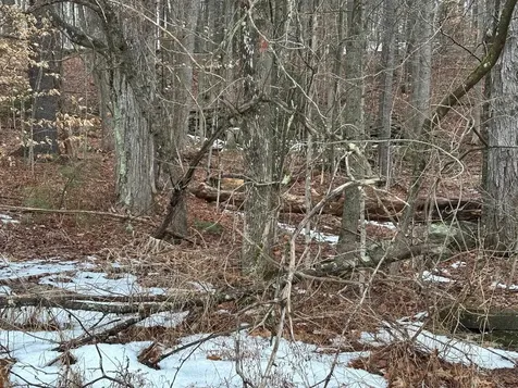 New Hampshire Route 119 Rindge NH 03461