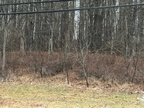 New Hampshire Route 119 Rindge NH 03461