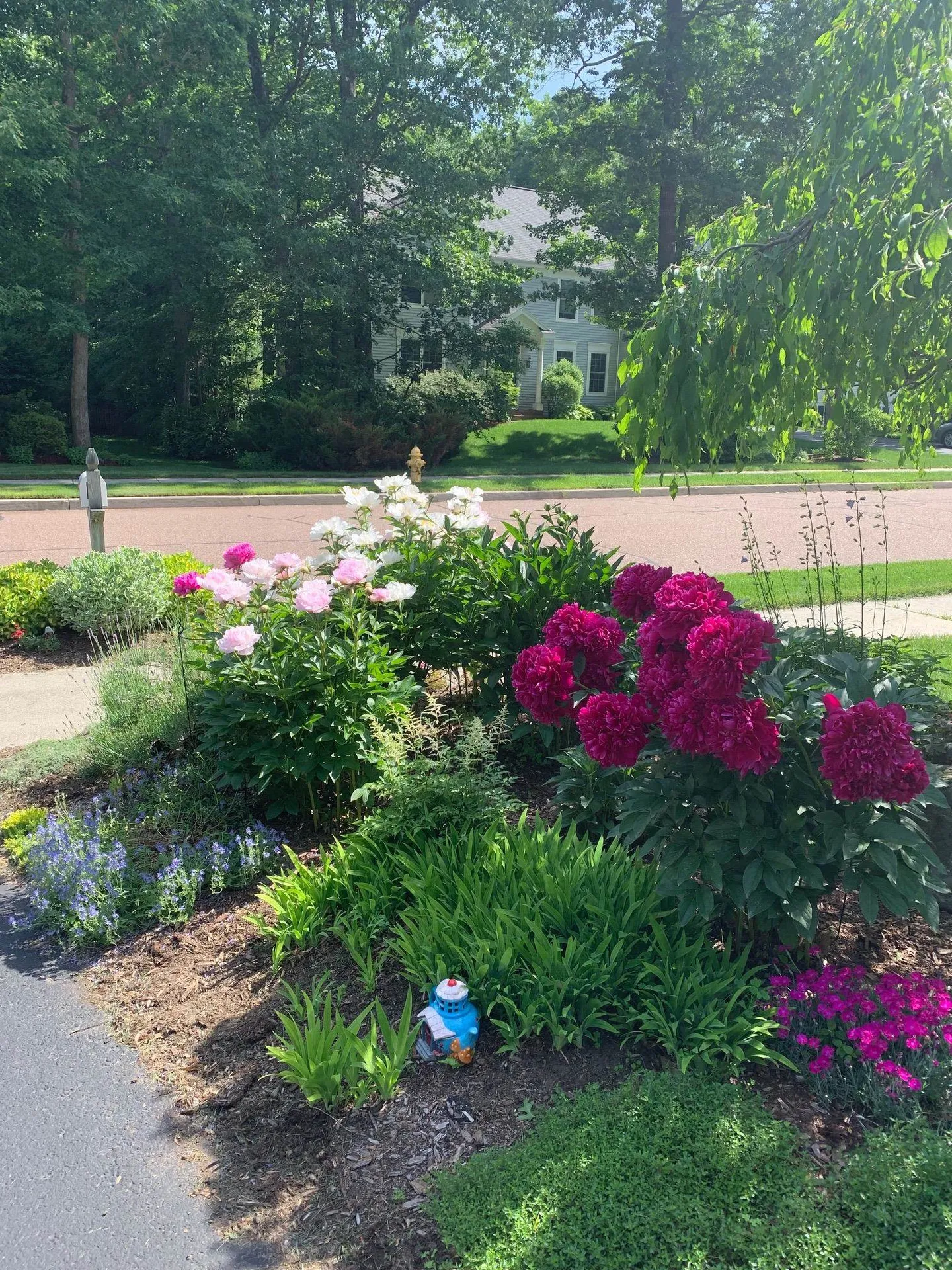 7 Debra Drive Essex VT 05452