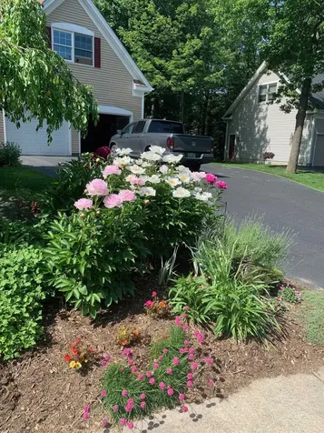 7 Debra Drive Essex VT 05452