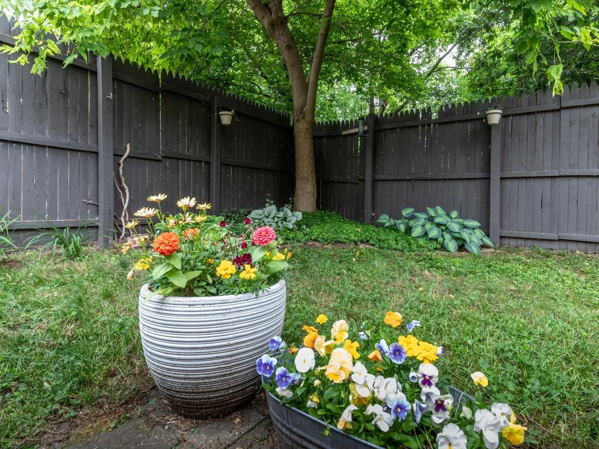 11 Poplar Street Burlington VT 05401