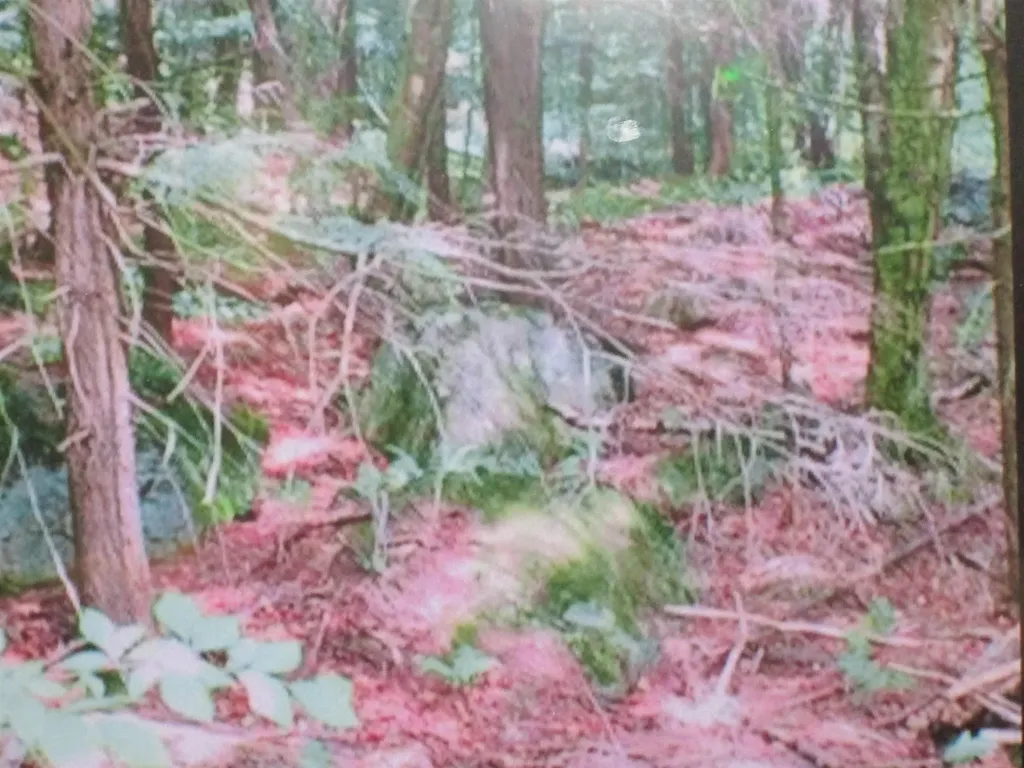 107-11.1 Wood Lot Lane Stoddard NH 03464