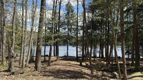 77 Wild Acre Drive Washington NH 03280