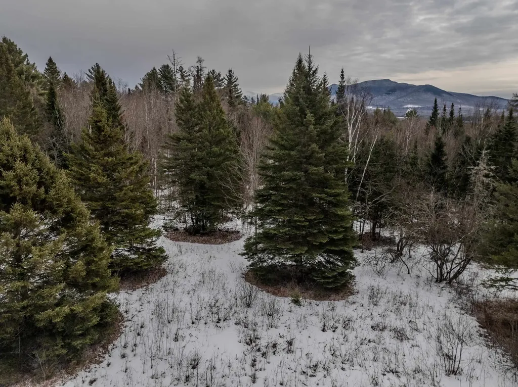 0 Jefferson Road Whitefield NH 03598