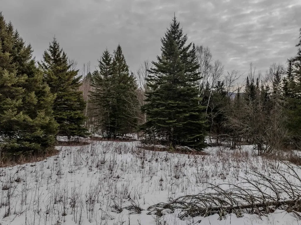 0 Jefferson Road Whitefield NH 03598