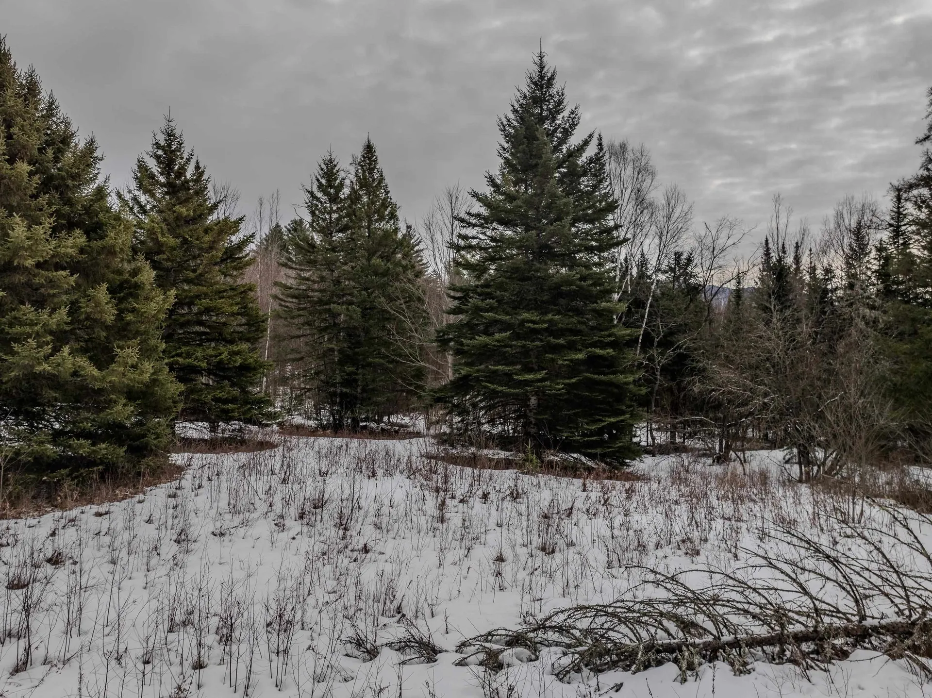 0 Jefferson Road Whitefield NH 03598