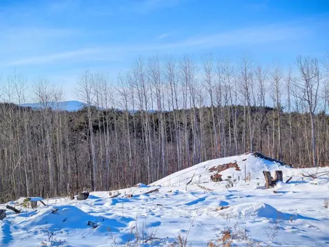 15 Hot Hole Pond Road Concord NH 03301