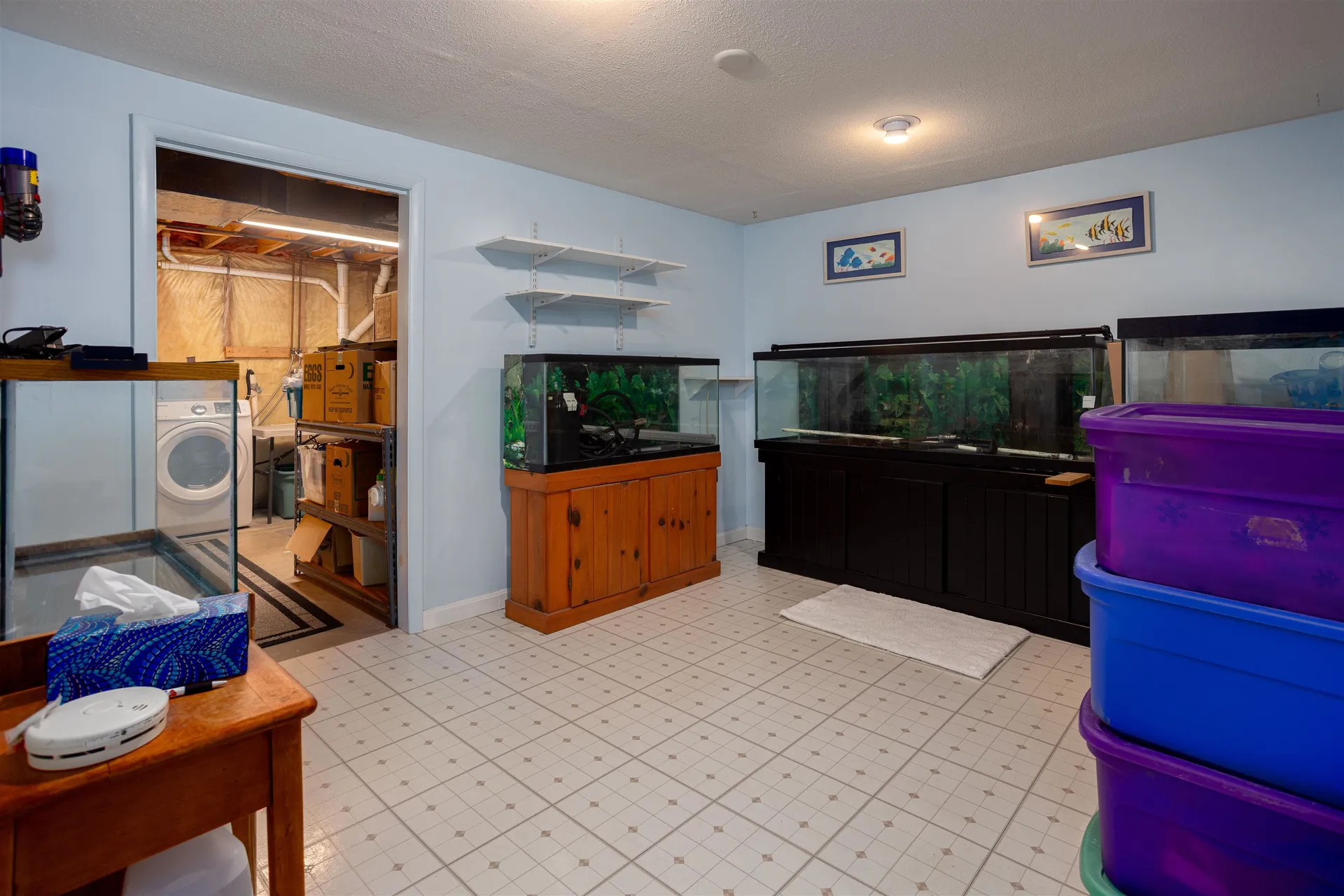 266 Isham Circle Williston VT 05495