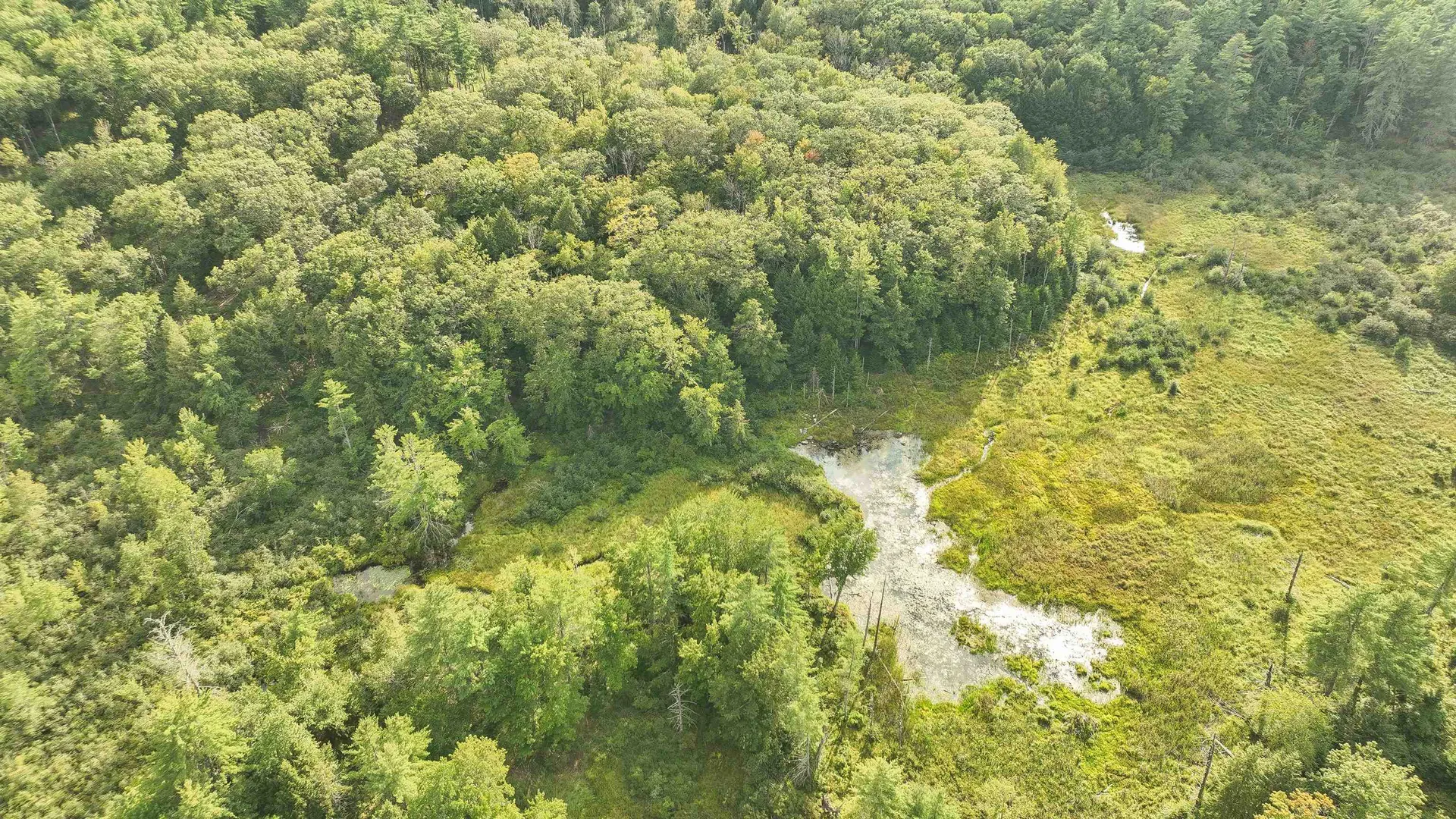 50 Mulhall Farm Road Antrim NH 03440