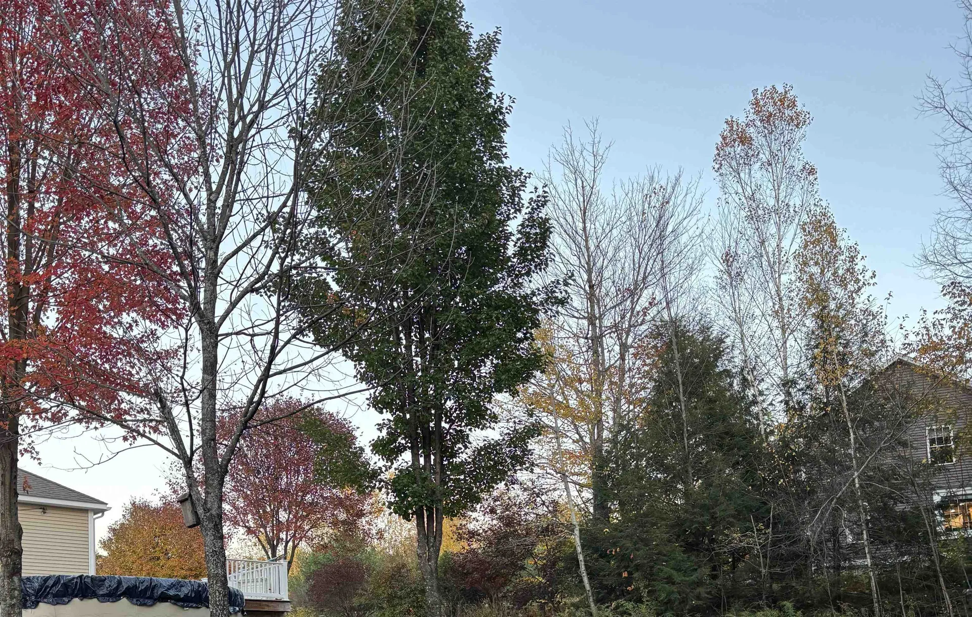 98 Perry Road Jaffrey NH 03452