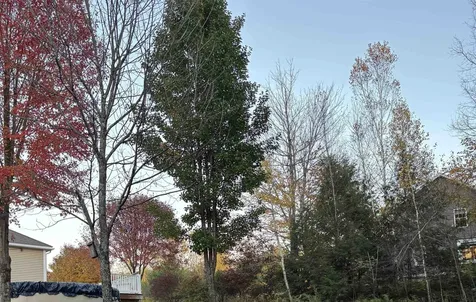 98 Perry Road Jaffrey NH 03452