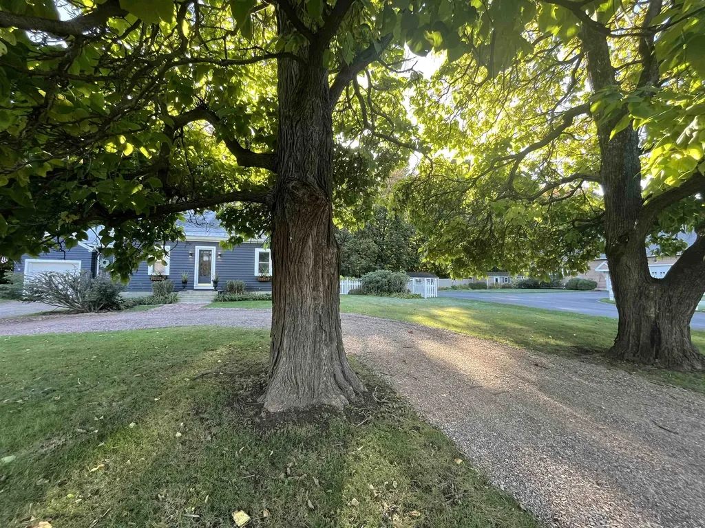 883 S Brownell Road Williston VT 05495