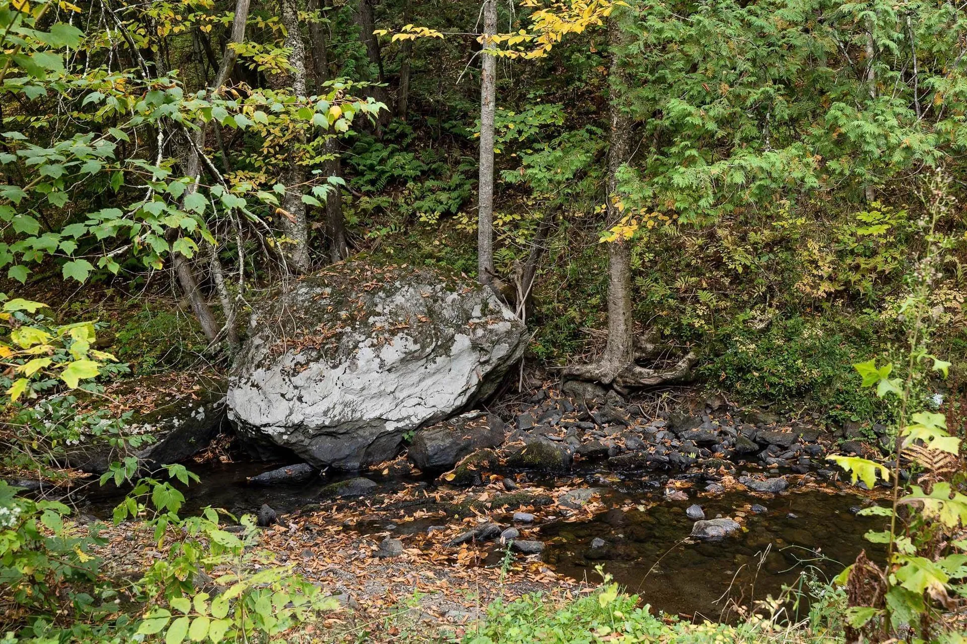 1043 Vt Route 100c Johnson VT 05655