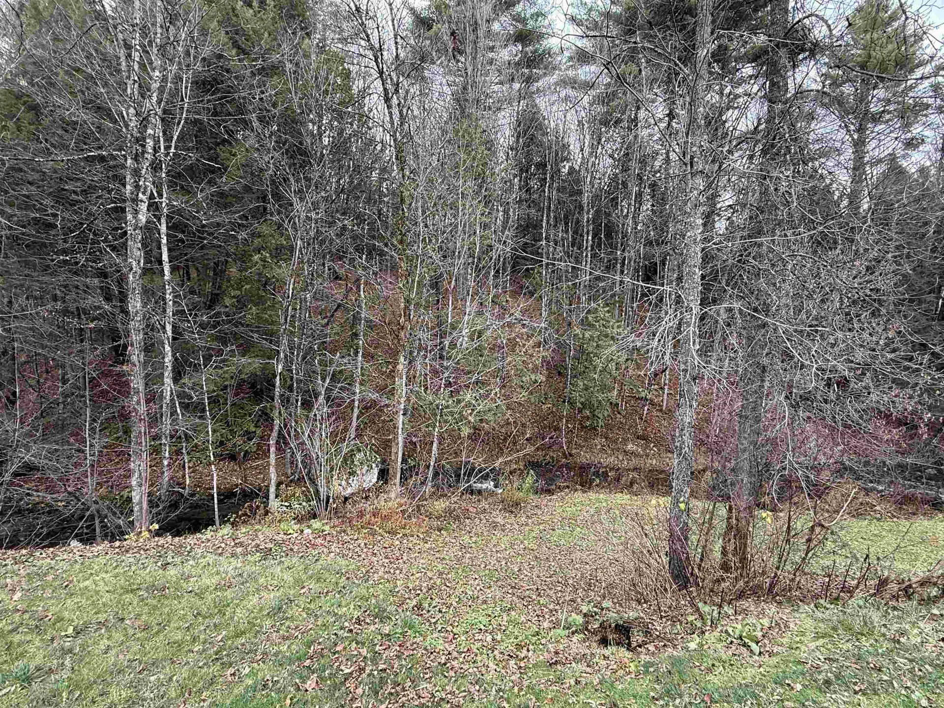 1043 Vt Route 100c Johnson VT 05655