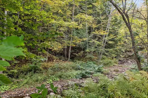 1043 Vt Route 100c Road Johnson VT 05655