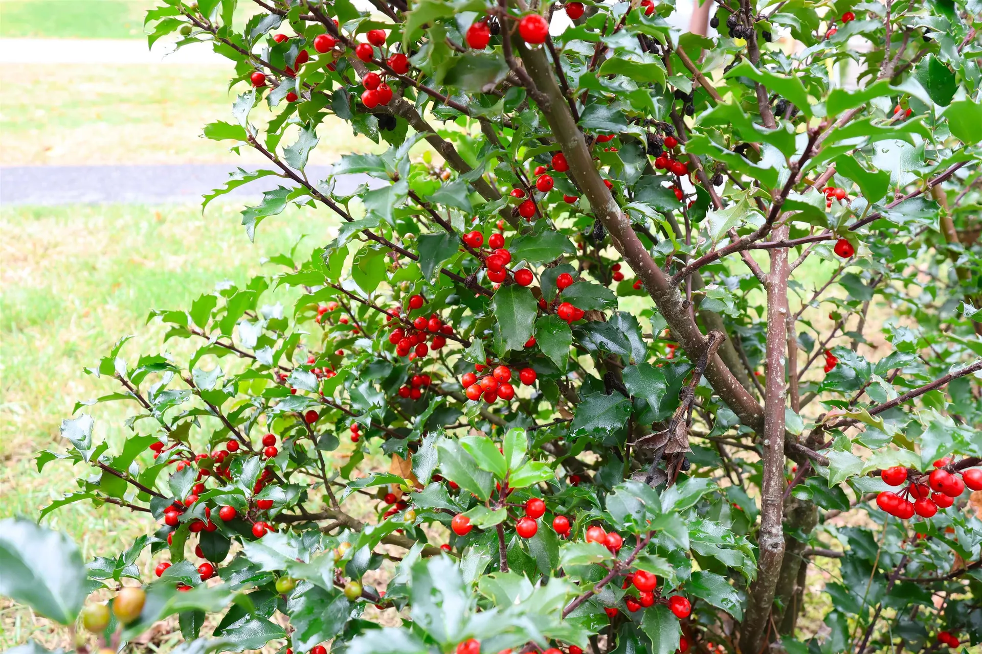 113 Hanover Street Hartford VT 05001